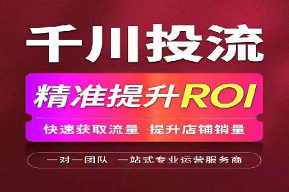 SEM运营公司经典案例点评